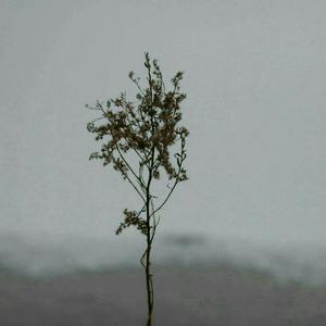 韩漫嗟嗟嗟漫画
