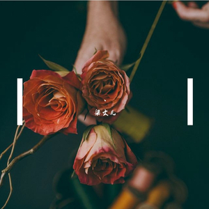 黑寡妇3满天星法版
